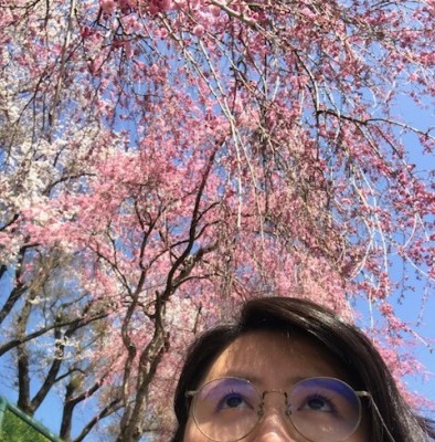 ①【大船渡高校通学路】枝垂れ桜とソメイヨシノが見事でした!