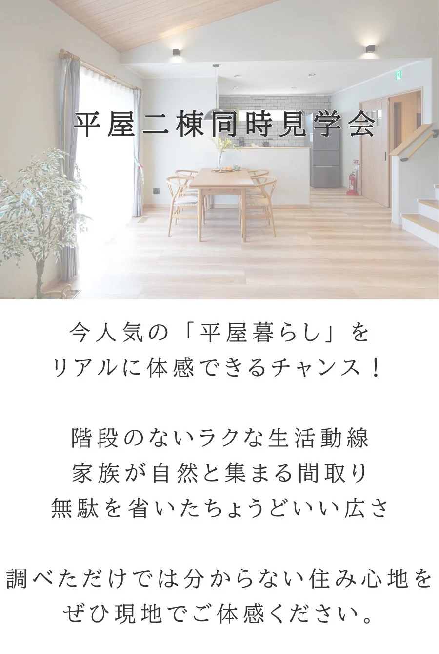 追加画像9