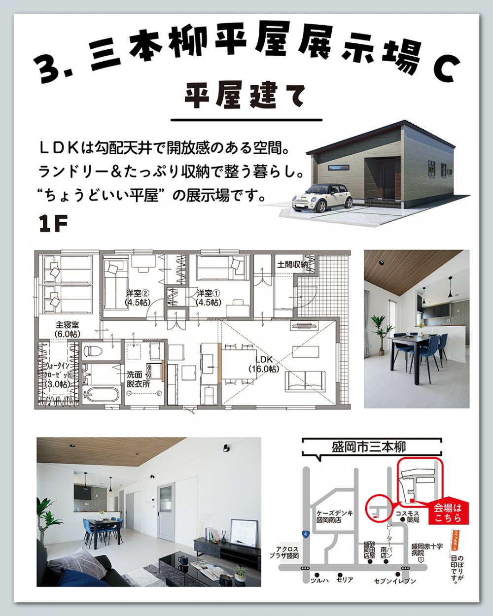 追加画像11