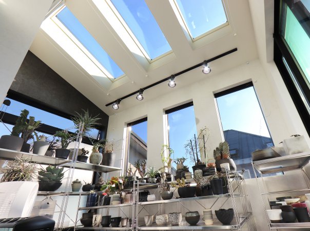 天窓と3方向に大きく窓を取り、陽当たりの良い温室スペース。