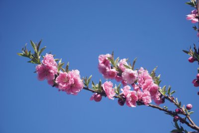 春の季節の 眠気やだるさ は 省エネ住宅 で解決 もっとドモシカを知る ドモシカハウス 高松の圧倒的高性能 低価格注文住宅 新築住宅を建てるなら