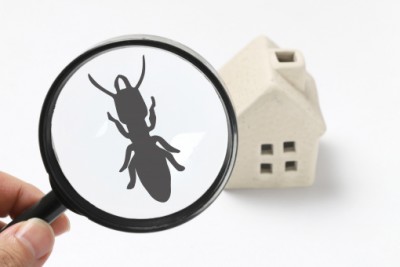 現在の一般住宅は 害虫 のなすがまま 高断熱高気密住宅との違いは 現在の一般住宅は 害虫 のなすがまま 高断熱高気密住宅との違いは