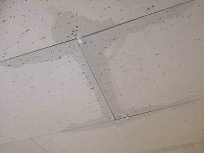 人気が高まる屋根の種類 片流れ屋根 のメリットやデメリットは もっとドモシカを知る ドモシカハウス 高松の圧倒的高性能 低価格注文住宅 新築住宅を建てるなら
