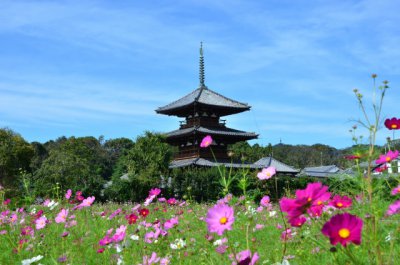 木造住宅 が持つ主なデメリットを解消する 高断熱高気密 の新築住宅 もっとドモシカを知る ドモシカハウス 高松の圧倒的高性能 低価格注文住宅 新築 住宅を建てるなら 木造住宅 が持つ主なデメリットを解消する 高断熱高気密 の新築住宅 もっとドモシカを知る ドモシカハウス 高松の圧倒的高性能 低価格注文住宅 新築 住宅を建てるなら