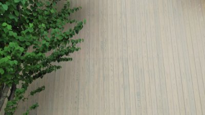 木の質感が魅力 木質系サイディング のメリット デメリット もっとドモシカを知る ドモシカハウス 高松の圧倒的高性能 低価格注文住宅 新築住宅を建てるなら 木の質感が魅力 木質系サイディング のメリット デメリット もっとドモシカを知る ドモシカハウス 高松の圧倒的高性能 低価格注文住宅 新築住宅を建てるなら