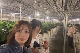 ☆☆ストロベリーナイト☆☆