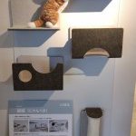 猫壁ってご存じですか？