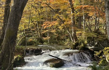奥入瀬渓流散策