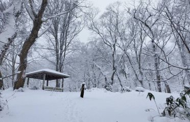 冬がはじまるよ