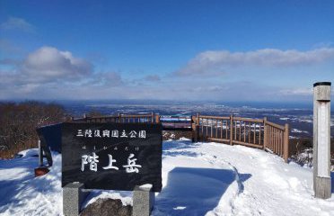 2026年もどうぞ宜しくお願いいたします