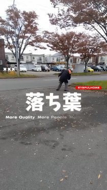落ち葉