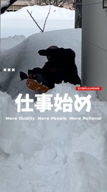 仕事始め