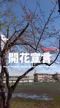 開花宣言
