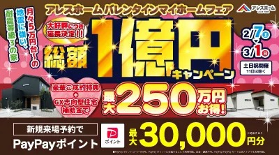 【マサキデッキ店】アレスホームバレンタインマイホームフェア総額1億円キャンペーン