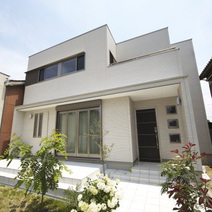 ラインが奏でる機能性とデザイン美