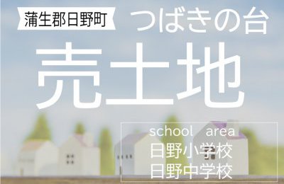 蒲生郡日野町「つばきの台」 つばきの台2番