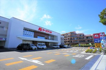 ケーズデンキ辻堂