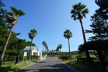 辻堂海浜公園