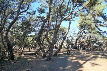 小和田浜公園