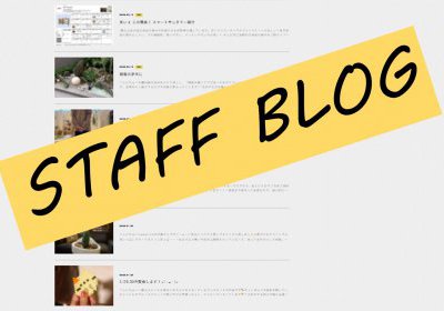 スタッフブログ随時更新中！