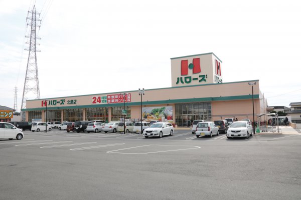 ハローズ北島中央店