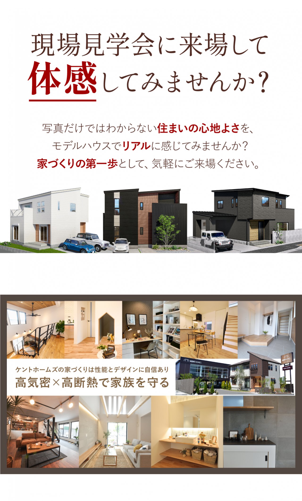 写真3