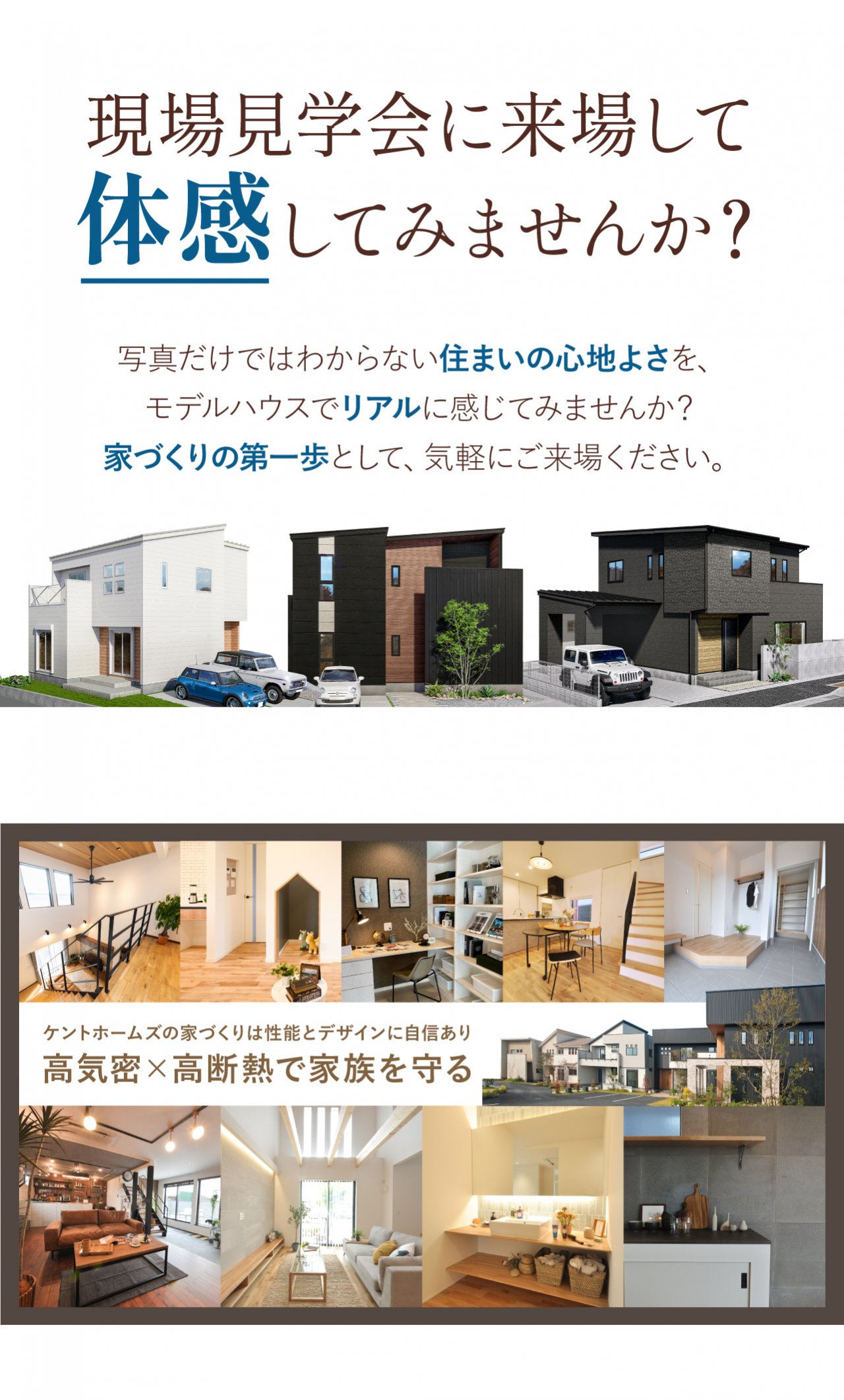 写真3