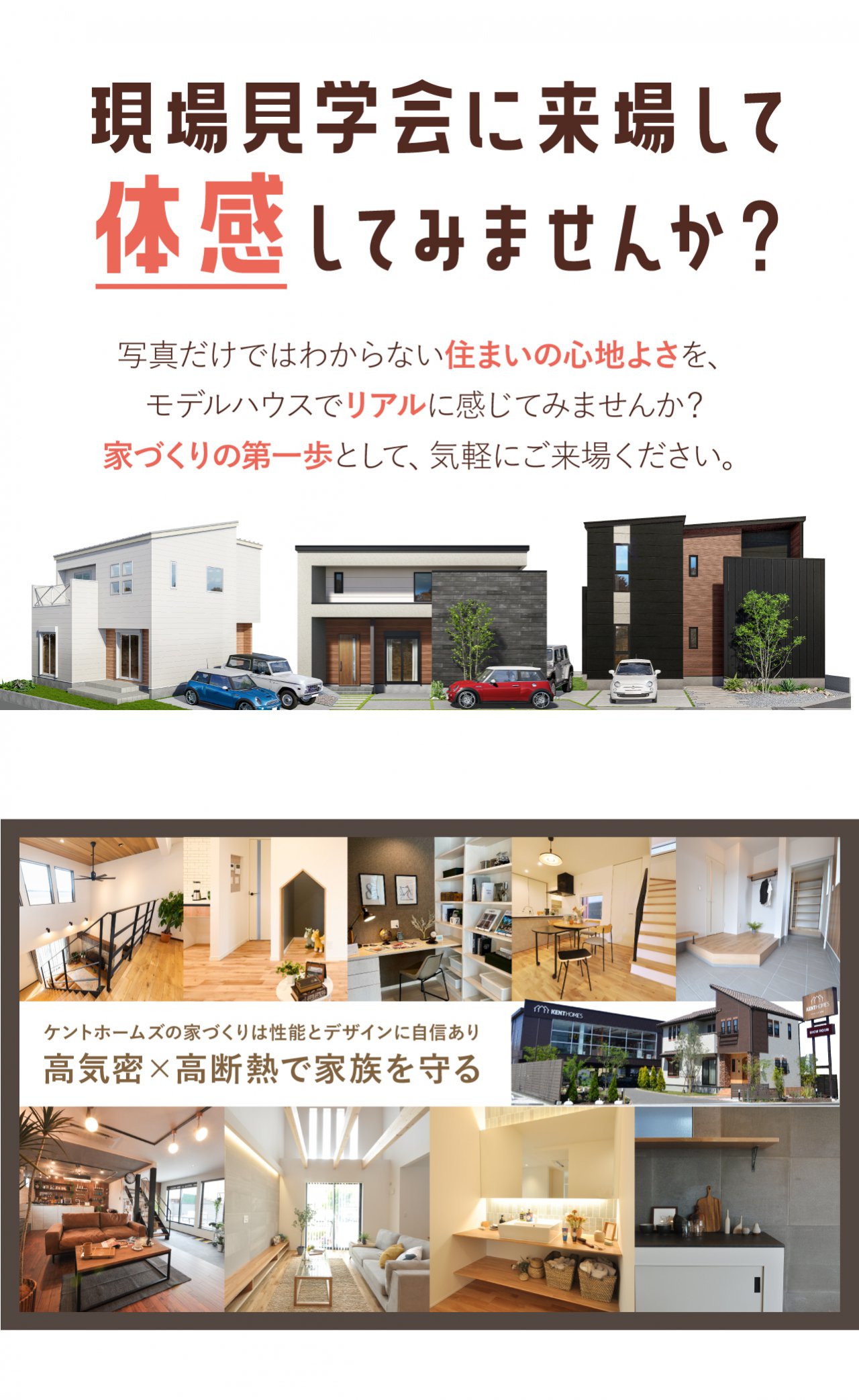 写真3