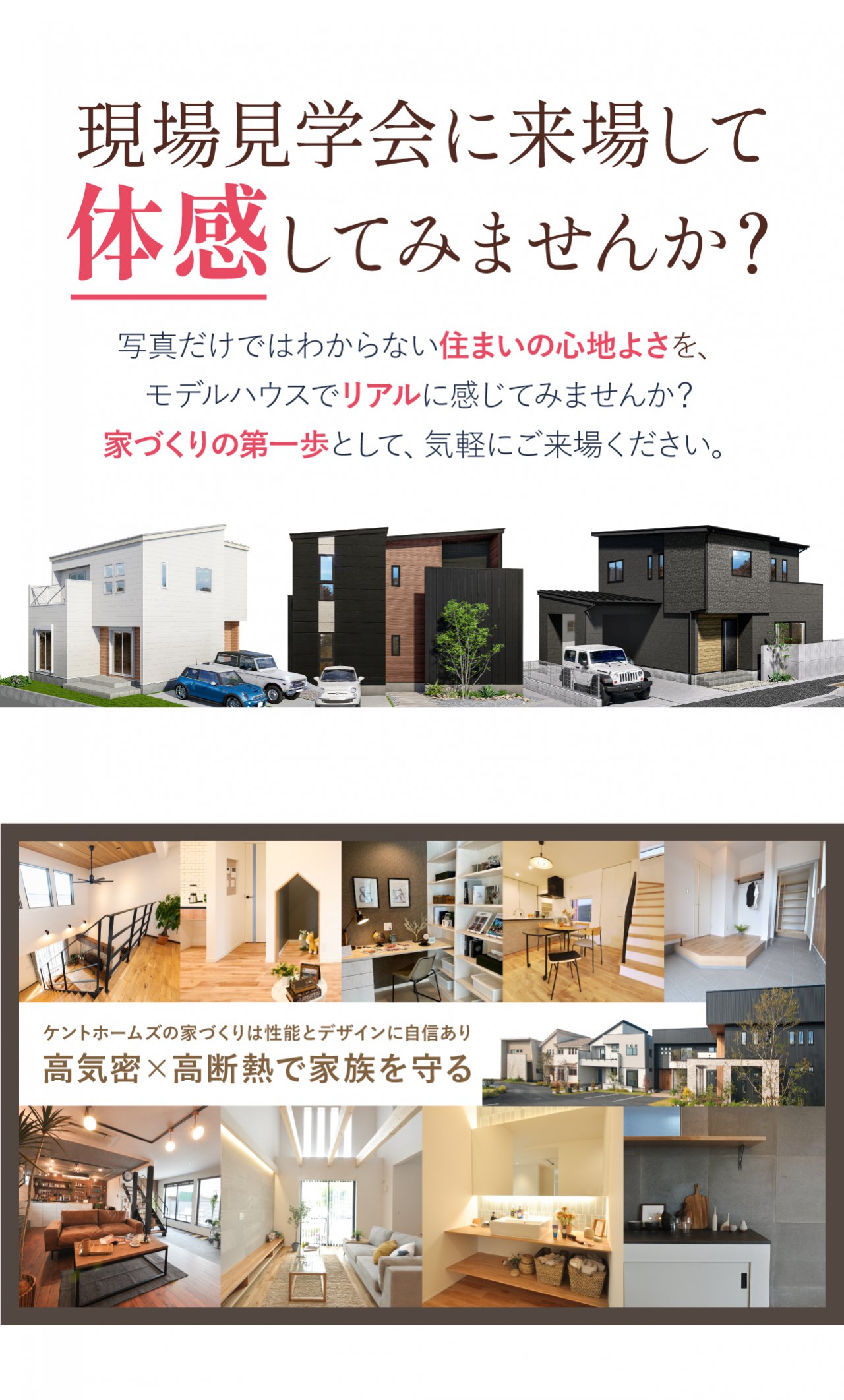 写真3