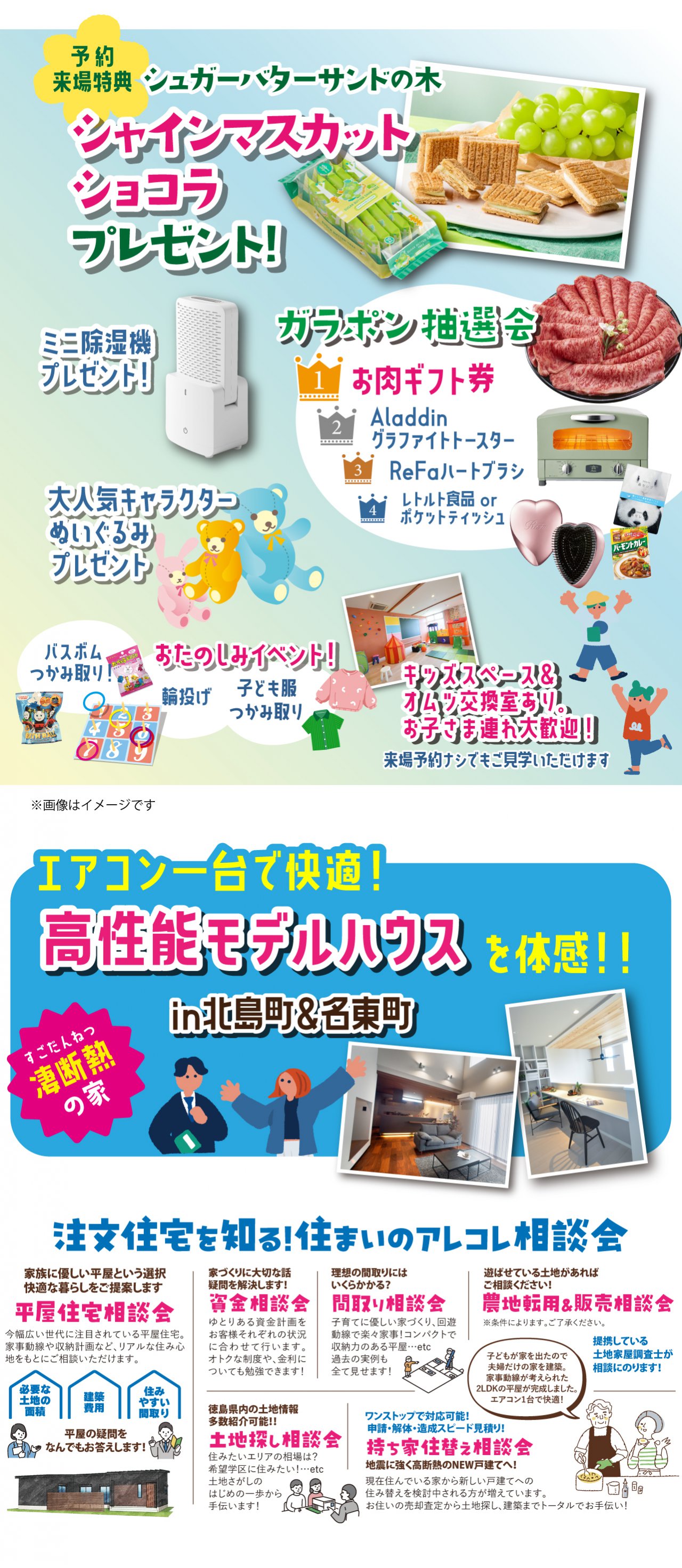 写真2