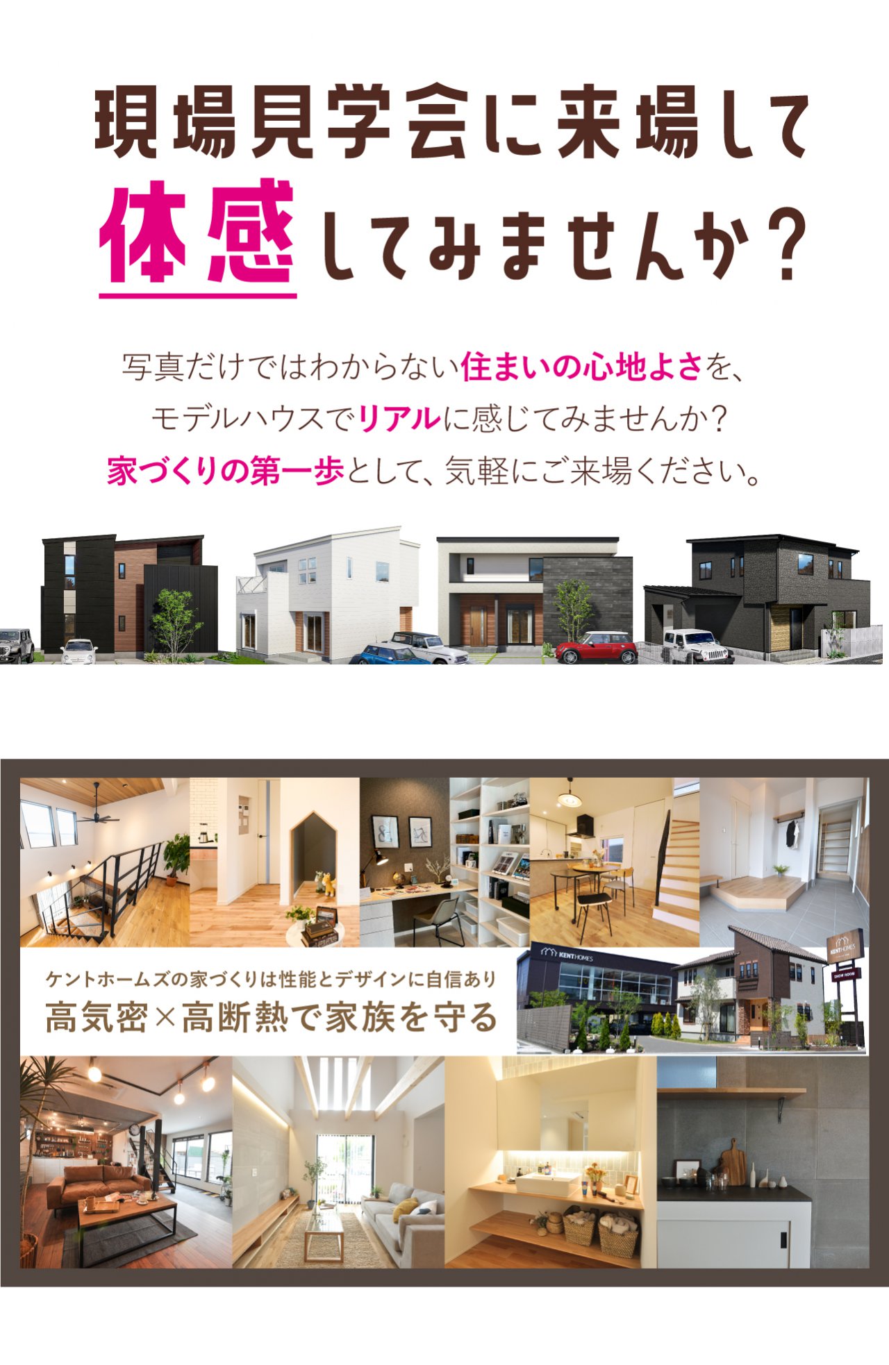 写真3
