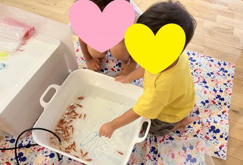 【イベントレポート】8/6~7　夏のお家フェスタin北島店　vol.1