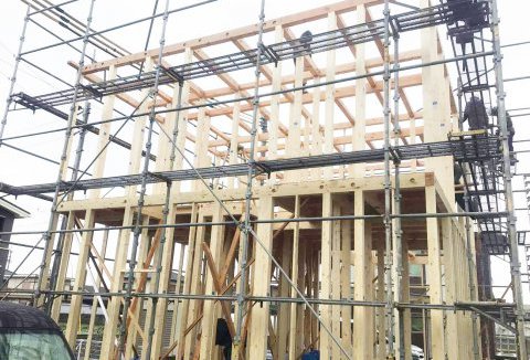 【地鎮祭・上棟】2/13（月）徳島市N様邸の上棟がしました