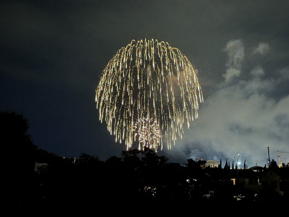 安倍川花火大会|コラム|DAIBAHOME|ダイバホーム|月4万円台で叶う新築一戸建て住宅|ZEH基準の注文住宅クオリア|木の家を創る工務店