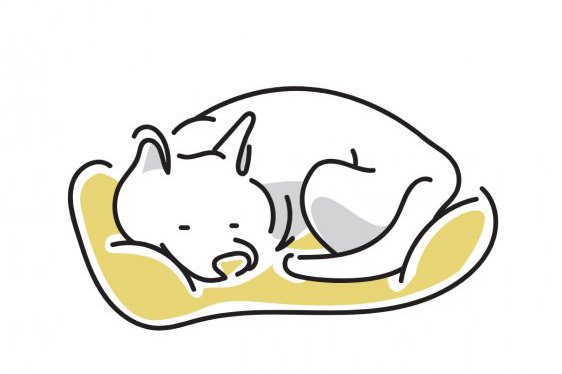 最近のマイブーム