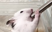 歳も家族も増えました！
