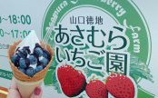 アイスクリームを求めて…！