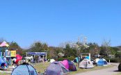 とある運動公園の風景