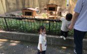 数年ぶりの安佐動物園