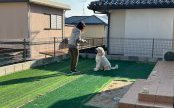 愛犬家の方必見！愛犬との生活がもっと楽しくなるドッグラン
