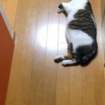 Youtube撮ってきました！