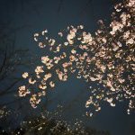 ４月スタート！