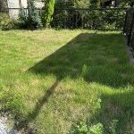 芝刈り機はコードレスがおすすめ('◇')ゞ