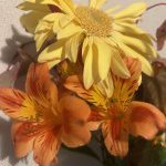 ネット銀行住宅ローン相談会もありますよ