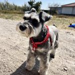 もしも～私が家を建てたなら～♪vol.20