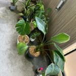 もしも～私が家を建てたなら～♪vol.26