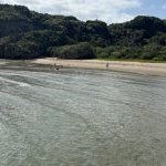 じめじめする日が増えてきました☀