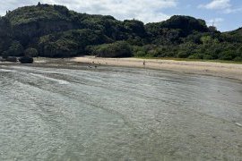 じめじめする日が増えてきました☀