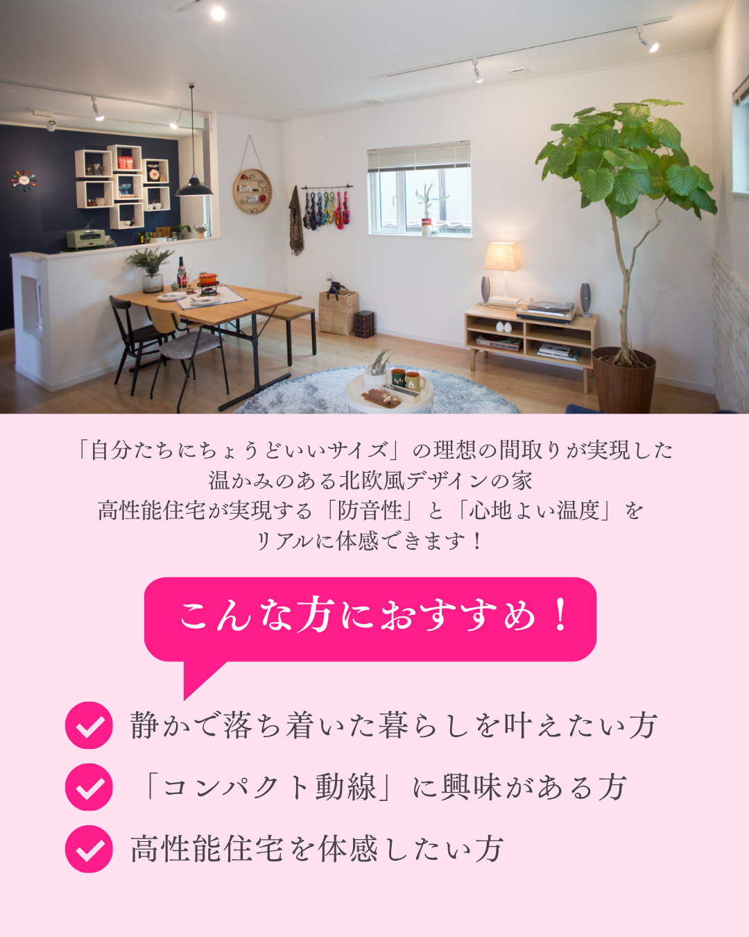 写真7