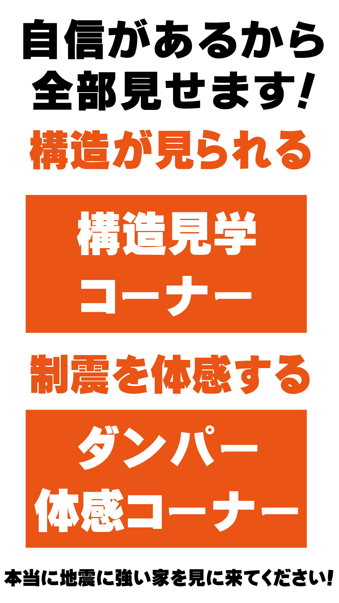 写真3